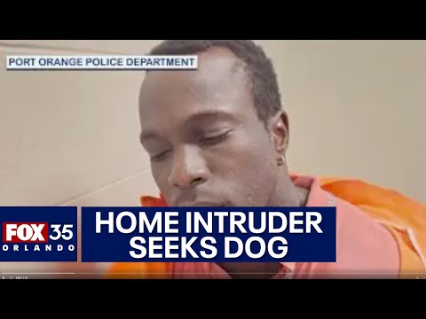 Florida man breaks into home that he thinks his dog is trapped inside of