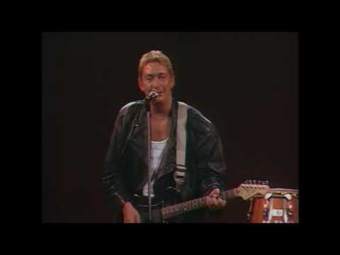 Chris Rea • Josephine (French TV) (1987)