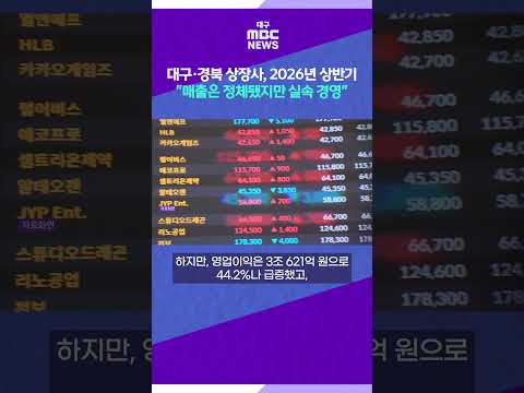 대구·경북 상장사, 2026년 상반기 "매출은 정체됐지만 실속 경영"  #shorts (대구MBC)