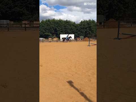 jockey position and stirrups! #horse #equestrianjourney #horseriding #horsefan #ponyhorse #riding