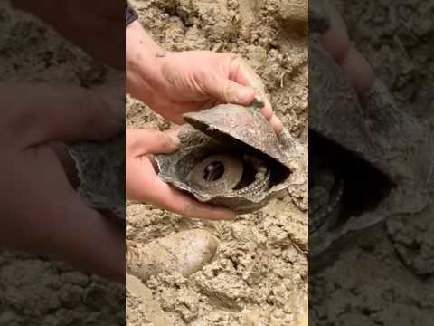 NoO Creio.0!! 😱😱😱