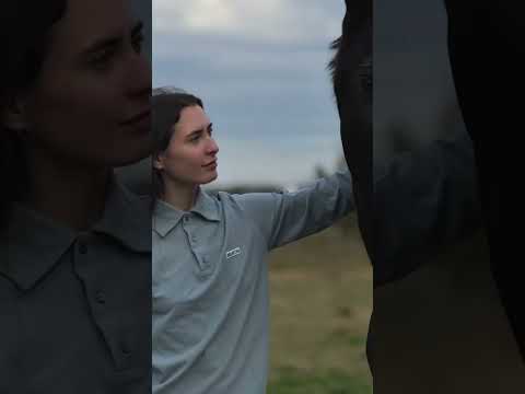 В нашем поло можно заниматься всеми видами спорта, даже плаваньем)) #mantis#horse #брендыодежды#polo