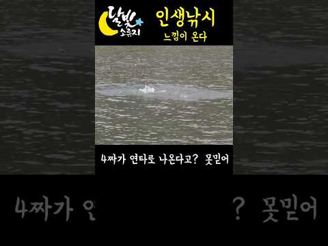 <strong>이것이</strong> 인생낚시구나 #믿기힘듬