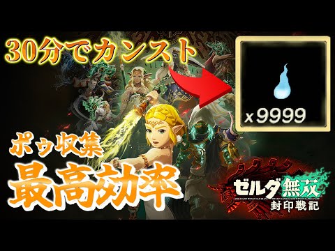 【封印戦記】必須アイテム『ポゥ』の最強の収集効率を誇る狩り場を紹介します【ゼルダ無双 封印戦記】