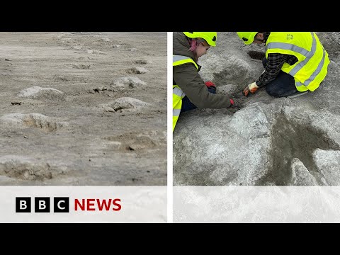 UK's biggest ever dinosaur footprint site discovered | BBC News