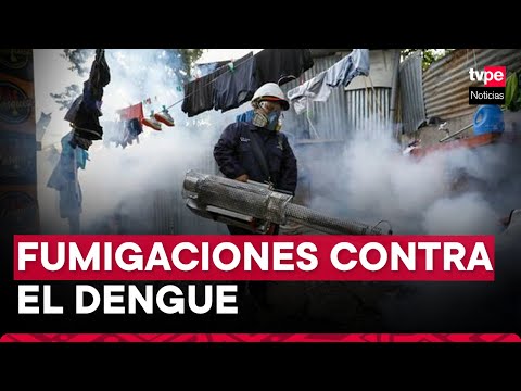 Se detallan acciones y recomendaciones contra el Dengue.