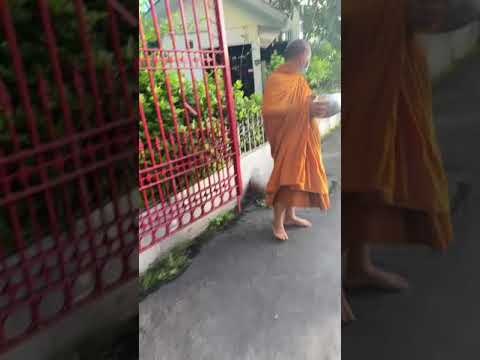 ทำบุญวัดธาตุทอง-เอกมัย ทำบุญวัดธาตุทอง-เอกมัย