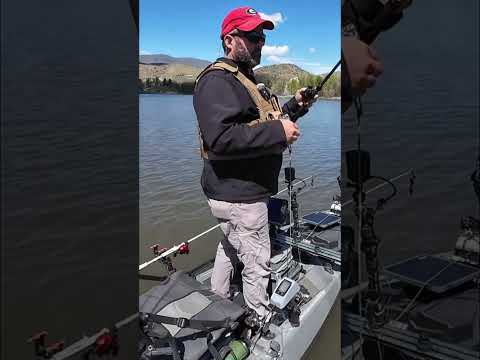 Bass Fishing Secrets: Catch More Fish Anywhere! #shorts