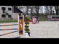 Show jumping horse Interessant gefokte merrie met veel kwaliteit
