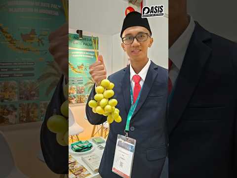 KEBUN KURMA DI MASJID INDONESIA