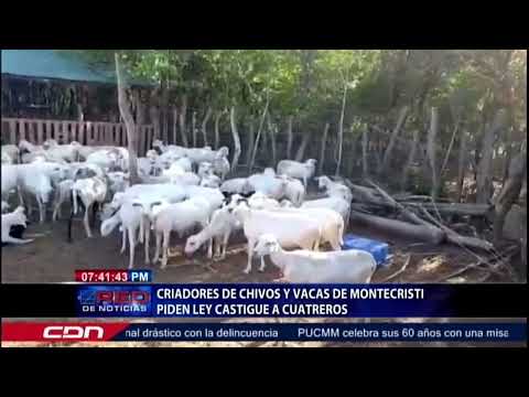 Criadores de chivos y vacas de Monte Cristi piden ley castigue a cuatreros