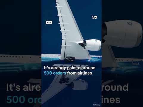 Boeing grounds its 777X test fleet | DW News