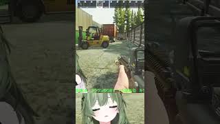 【タルコフ】キララン頑張ってるから優しくしてえええええええええええええええ【EFT】#EFT #タルコフ #EscapeFromTarkov