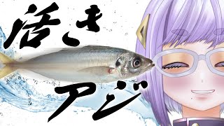 【飲酒書き初め】活きアジって書く【Vtuber/酒鹿のかを】