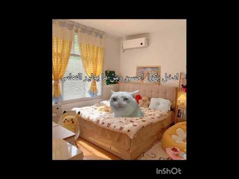 وانتم كيف تنامو 👀🗿🙈 #لايك_اشتراك #مهتم بي هذا المحتوى فولومي 🎀 #اكسبلور #cat#كوميديا#غزة تموت جوع🇵🇸