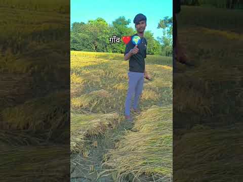farming reels ☘️❤️ #trending #farming #khetbadi   #dailyshorts #viralshorts #viralvideo #instagra