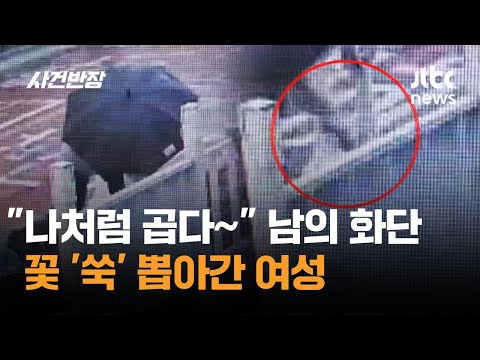"나처럼 곱다~" 남의 화단 꽃 '쑥' 뽑아간 여성 / JTBC 사건반장