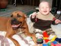 BSL in Ontario