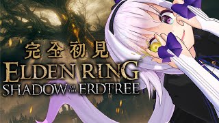 【ELDEN RING DLC🔰】考察大好きV、ついに影の地へ‼️【暴竜ベール～】