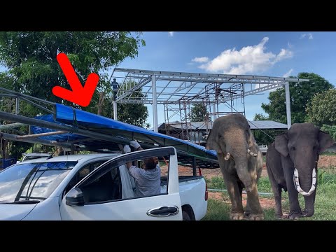 สันไทสีฟ้าประกายมุก❗️มาแล้ว-บ้ สันไทสีฟ้าประกายมุก❗️มาแล้ว-บ้
