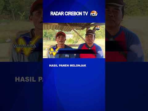 Hasil Panen Melonjak