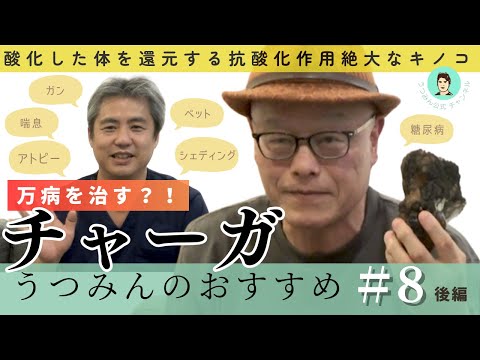 【うつみんのおすすめ】ゲスト油屋チャガノビッチ康さん。「チャーガ」についてご紹介します後編♪チャーガは酸化した体を還元する抗酸化作用絶大なキノコです。