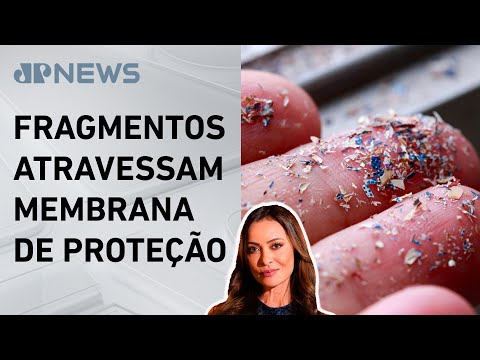 Microplásticos são encontrados em cérebro humano; Patrícia Costa analisa