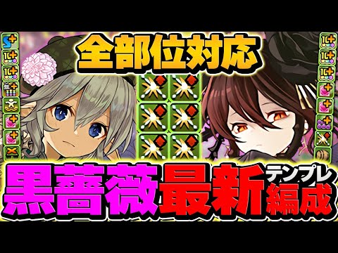 【編成難易度低下】木星チャレンジを全部位破壊14分攻略！ロゼッタ×無効貫通型が最強でした！【パズドラ】