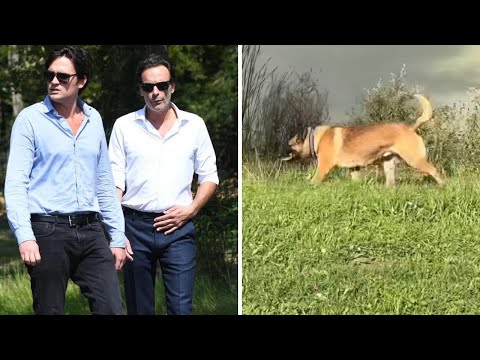 Alain Fabien Delon adopte un nouveau chien : Loubo pas tendre avec son invité à Douchy