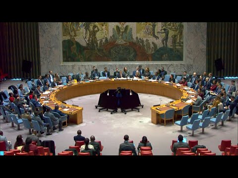 UN Security Council votes to extend DR Congo mission by one year | AFP