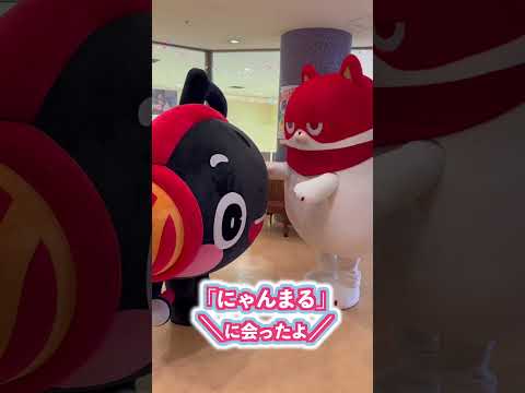 北海道へ行ってきたよ♪【ジョイオンプー】