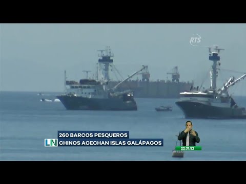 260 barcos pesqueros chinos acechan Islas Galápagos