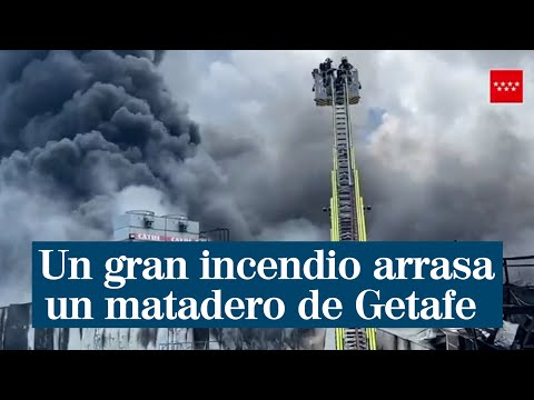 Un incendio arrasa un matadero de Getafe y obliga a desalojar numerosas naves por el humo