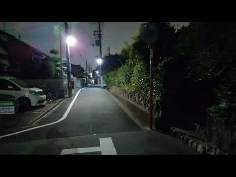 【4K】Xperia 1 VIIIでムービー撮影をしながら夜中の公園を歩いてみた