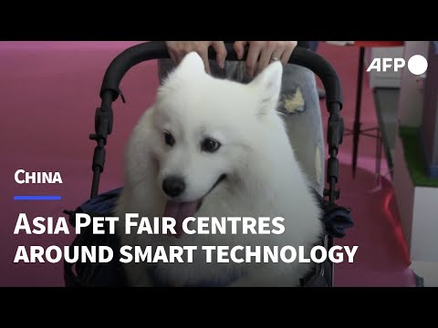 Chinese animal lovers flock to Asia Pet Fair in Shanghai | AFP