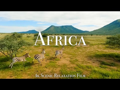 Africa 4K - Cinematic FPV Film With African Music