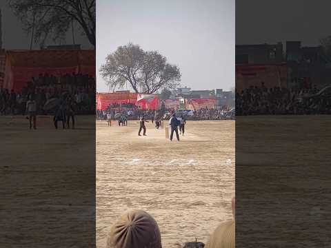 बेवक़ूफ़ बाप😂#shorts