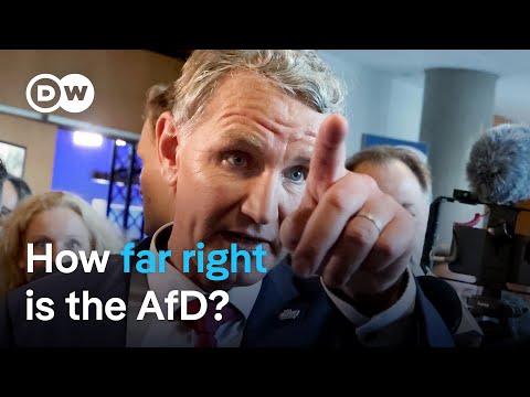 Will the Germany's 'firewall' against the far-right AfD hold? | DW News