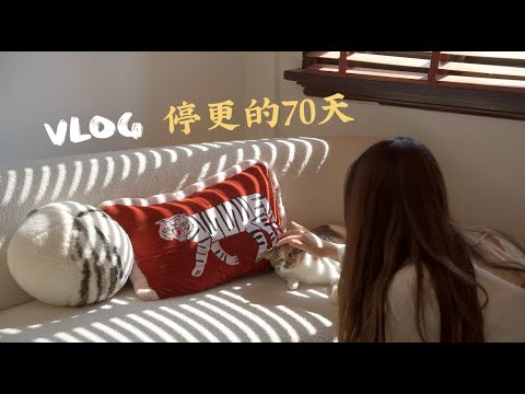 VLOG｜上海生活/停更70天，聊聊心里话｜夏日减脂餐/生菜牛肉taco