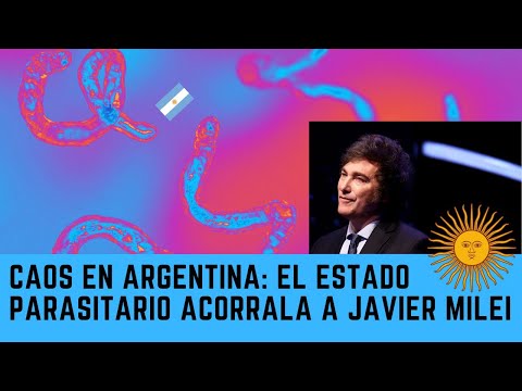 LIVE CAOS EN ARGENTINA: ESTADO PARASITARIO ACORRALA A JAVIER MILEI