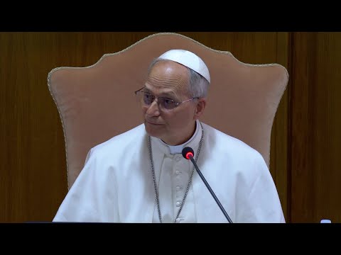 Pope Leo XIV says choice of name reflects social commitment | AFP
