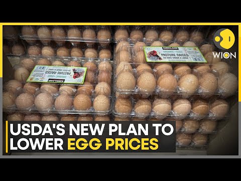 USDA Details New Plan To Tackle Bird Flu And Lower Egg Prices | WION | World News