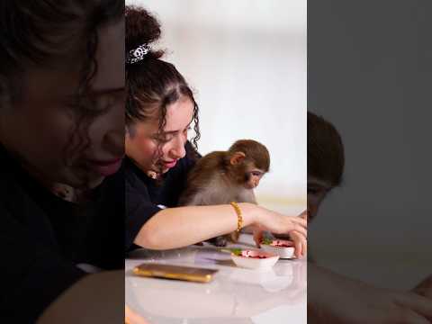 نزلتلكن فلوق رمضاني مع لحيوانات 🤭💗كبسوا عل رابط يلي عالفيديو