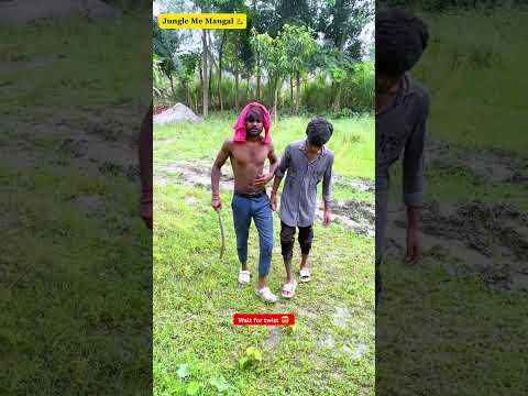 😱 Jungle Me Mangal Ho Gaya Bhai! 🐍 #saap #jungle #funnyshorts #comedyshorts #viralvideo #ytshorts
