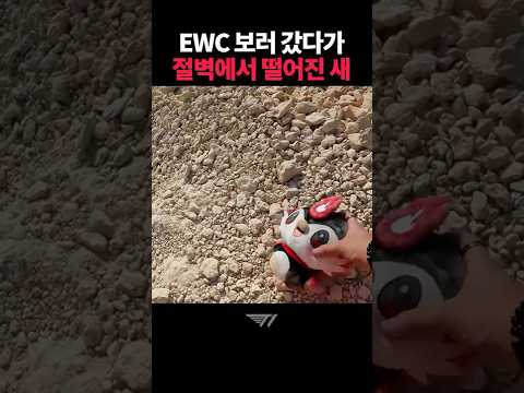 T1 SUPER FAN과 아티의 리야드 생존기 EP.1