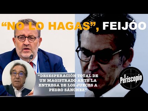 ¡LA DESESPERADA CARTA DE UN MAGISTRADO A FEIJO?O CONVULSIONA LAS REDES!