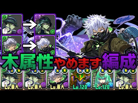 木属性やめるキャラ同士なら普通に相性いい説【パズドラ】