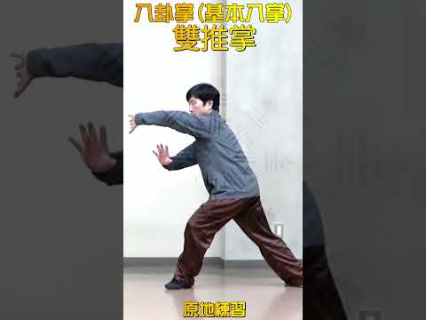 八卦掌基本八掌 双推掌 原地練習