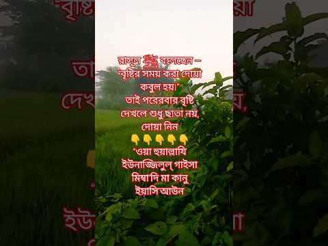 আপনি কি জানেন, বৃষ্টি হলে দোয়া করলে তা ফেরত যায় না? ☔#বৃষ্টিরদোয়া #ইসলামিকশর্টস #দোয়া #shortvideo