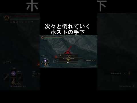 エルデンリング 地獄の侵入  久々に見た絶望した糞ホスト！  ELDEN RINGDLC #elden #eldenringdlc #ダクソ3